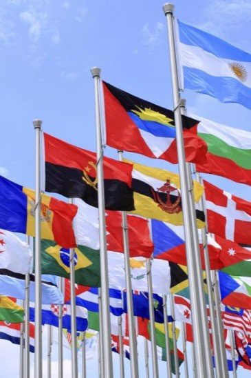 Сопровождение международных форумов